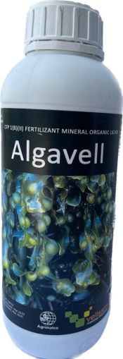 ALGAVELL 1L