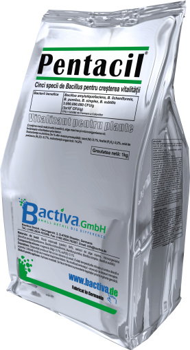 PENTACIL 250 grame