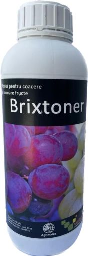 BRIXTONER 1L