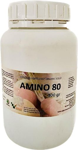 AMINO 80 0,3 Kg