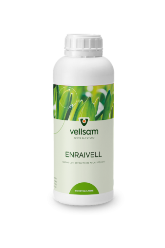 ENRAIVELL 1 L