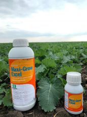 MAXI GROW EXCEL 250 grame