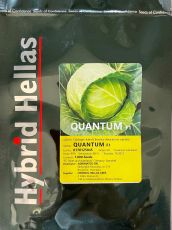 QUANTUM F1 1000 seminte